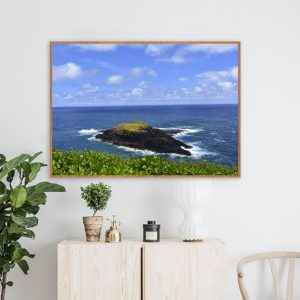 Nicole Herrmann – A Ilha