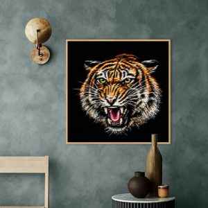 Quadro - Pallib - Tiger