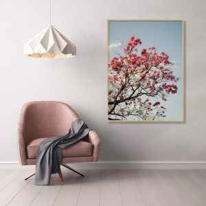 Quadro - Fernando Silva - Flores de SP