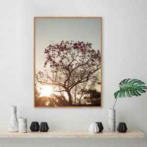 Quadro - Fernando Silva - Flores E Sol