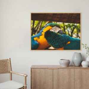 Quadro - Guilherme Pessanha - Arara Love