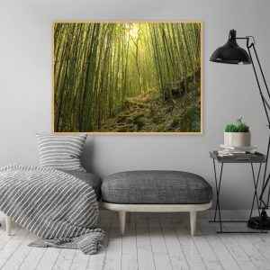 Quadro - Guilherme Pessanha - Bamboo Path