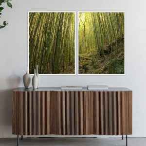 Dupla de Quadros - Bamboo Path
