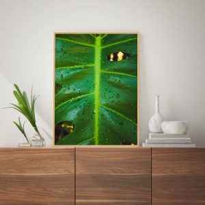 Quadro - Guilherme Pessanha - Contraste Verde