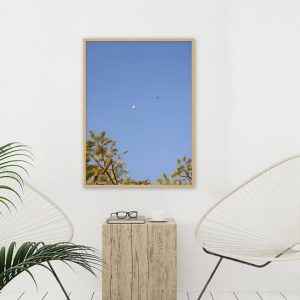 Quadro - Guilherme Pessanha - Lua Ao Fundo