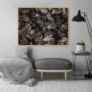 Quadro - Guilherme Pessanha - Textura Folhas Preto E Branco