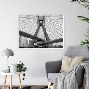 Renato Molás – Ponte Estaiada 4