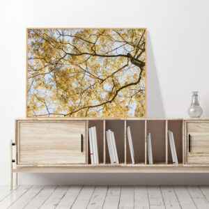 Quadro - Fernando Silva - Linhas Entre Folhas Horizontal