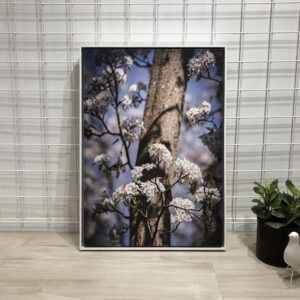 Quadro - Lise Rodembusch - Floresceu