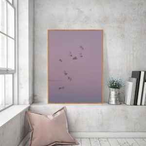 Quadro - Bird - Birds
