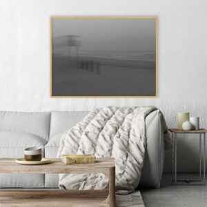 Quadro - Bird - Salva Vidas PB