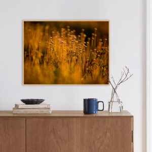 Quadro - Carlos Eduardo Azevedo - Capim Dourado