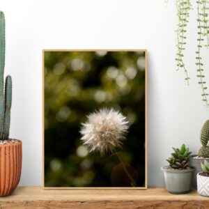 Quadro - Carlos Eduardo Azevedo - Dente