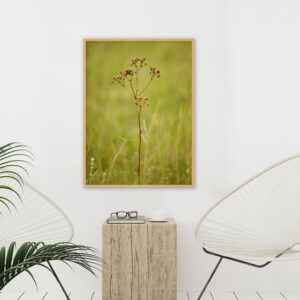 Quadro - Carlos Eduardo Azevedo - Mato Seco