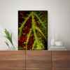 Quadro - Carlos Eduardo Azevedo - Outono - Imagem 4