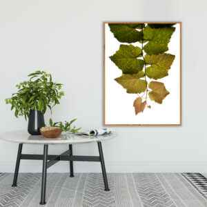 Quadro - Carlos Eduardo Azevedo - Parreira