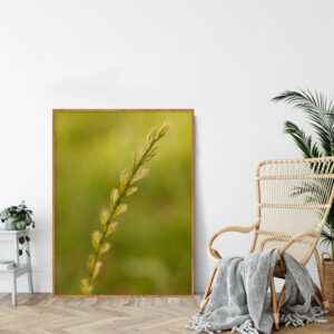 Quadro - Carlos Eduardo Azevedo - Sementes