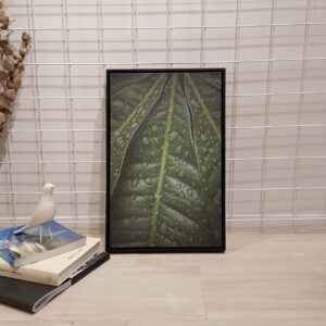 Quadro - William Eickler - Folhas