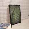 Quadro - William Eickler - Folhas - Imagem 2