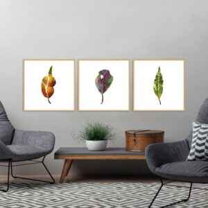 Trio de Quadros - Folhas
