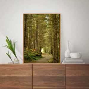 Quadro - Michel Fraitag - Caminhada Na Floresta