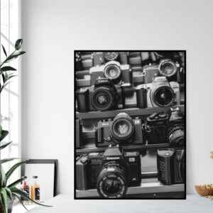 Quadro - Michel Fraitag - Coração do Fotógrafo