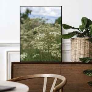 Quadro - Michel Fraitag - Delicadas Flores E Galhos