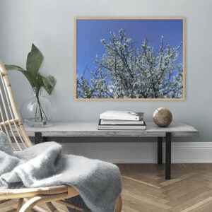 Quadro - Michel Fraitag - Galhos De Sakura 1