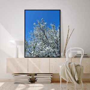 Quadro - Michel Fraitag - Galhos De Sakura 2