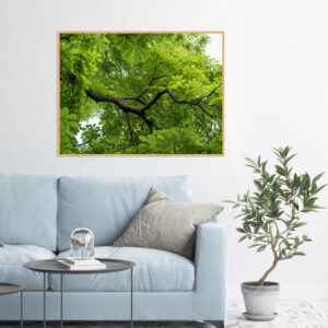 Quadro - Michel Fraitag - Galhos E Folhas 1