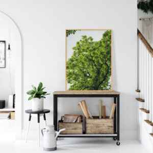 Quadro - Michel Fraitag - Galhos E Folhas 2