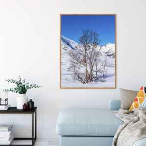 Quadro - Michel Fraitag - Galhos Na Neve