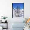 Quadro - Michel Fraitag - Galhos Na Neve - Imagem 4
