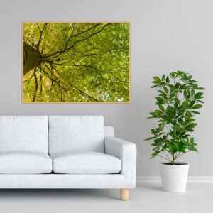 Quadro - Michel Fraitag - Galhos Ramificados