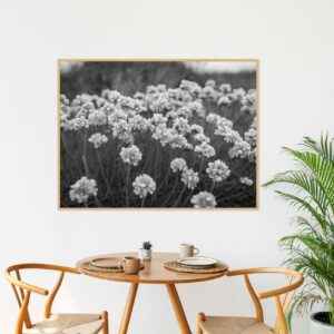 Quadro - Michel Fraitag - Pequenas Flores Pb
