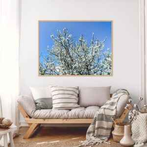 Quadro - Michel Fraitag - Sakura Branca