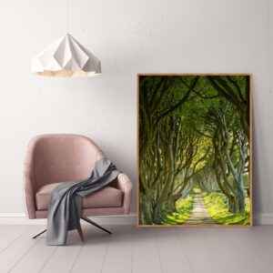 Quadro - Michel Fraitag - Túnel ao Trono