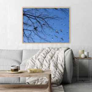 Quadro - Michel Fraitag - Voo Leve