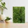 Quadro - Michel Fraitag - Xaxin - Imagem 3