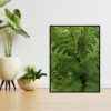 Quadro - Michel Fraitag - Xaxin - Imagem 4