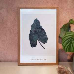 Quadro - Di Quadri - Botanical Verdes 06