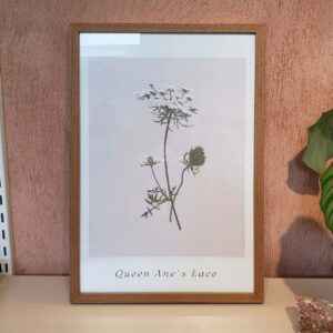 Quadro - Di Quadri - Botanical Flowers 2