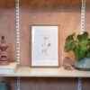 Quadro - Di Quadri - Botanical Flowers 2 - Imagem 2