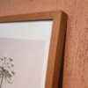 Quadro - Di Quadri - Botanical Flowers 2 - Imagem 4