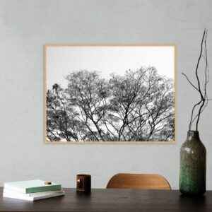 Quadro - Fernando Silva - Galhos PB