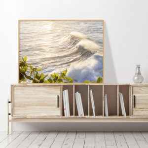 Quadro - Fernando Silva - Luz E Mar