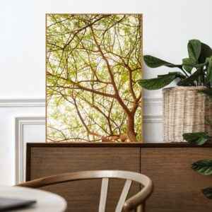 Quadro - Fernando Silva - Orange Branches