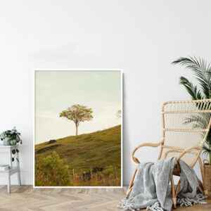 Quadro - Fernando Silva - Trees