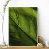 Quadro - Fábio Motta - Veg - Image 3