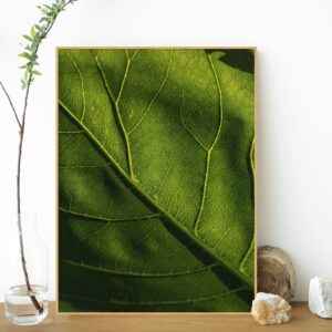Quadro - Fábio Motta - Veg